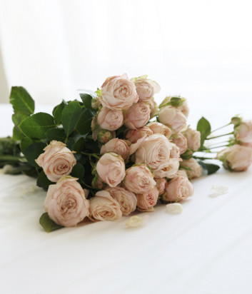Бюстгальтер с пуш-ап Rose&Petal Le Paon RP81710 цвета пудры