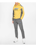 Мужской спортивный костюм EA7 EMPORIO ARMANI 6RPV65 PJ07Z желтый