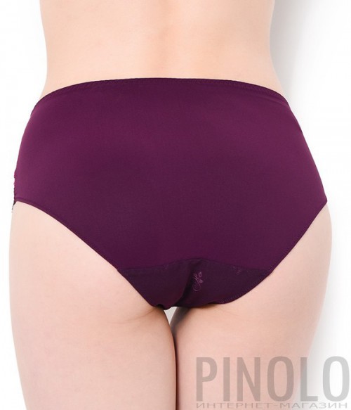 Высокие трусики Simone Perele Wish 12B770 сливовые